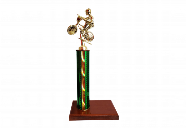 Trofeo de una columna