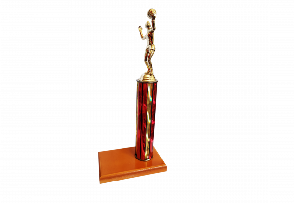 Trofeo de una columna