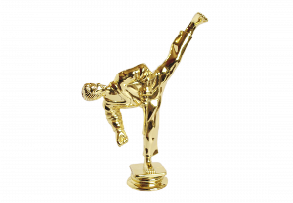 Karate Varonil (FK1)