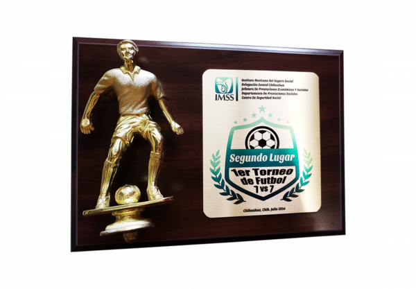 Figura de Plástico (Madera y Placa de Aluminio)
