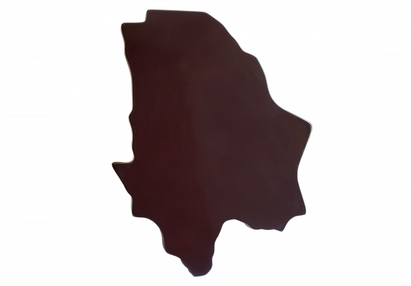 Bases para Reconocimientos Chihuahua